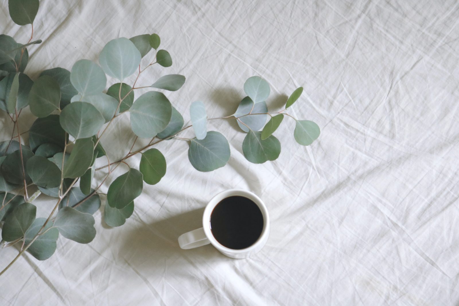 flat lay photography of white mug beside green leafed plants 1405762