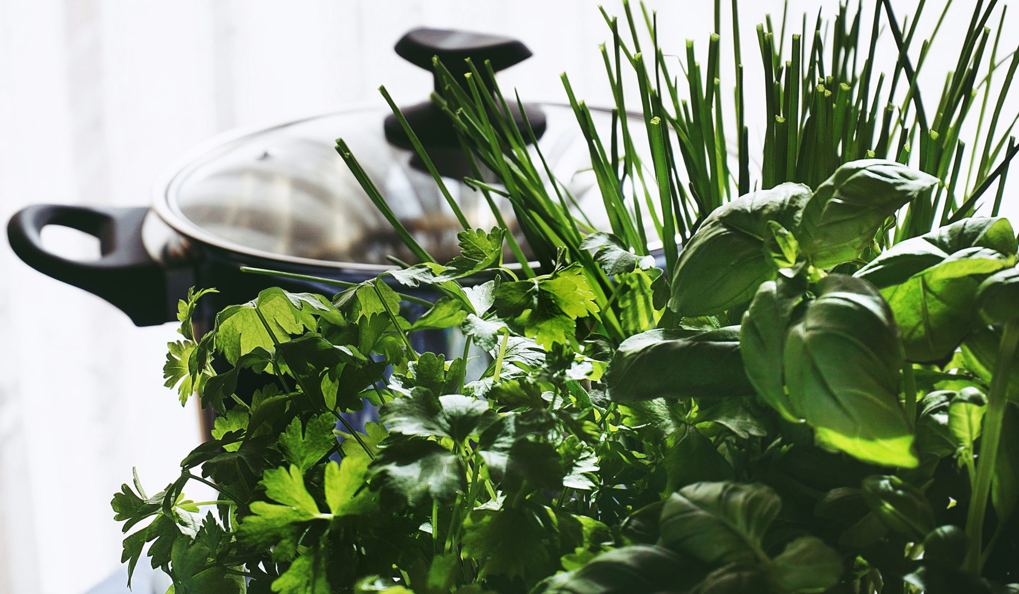Quelles plantes aromatiques cultiver sur votre balcon ? | Ô Magazine