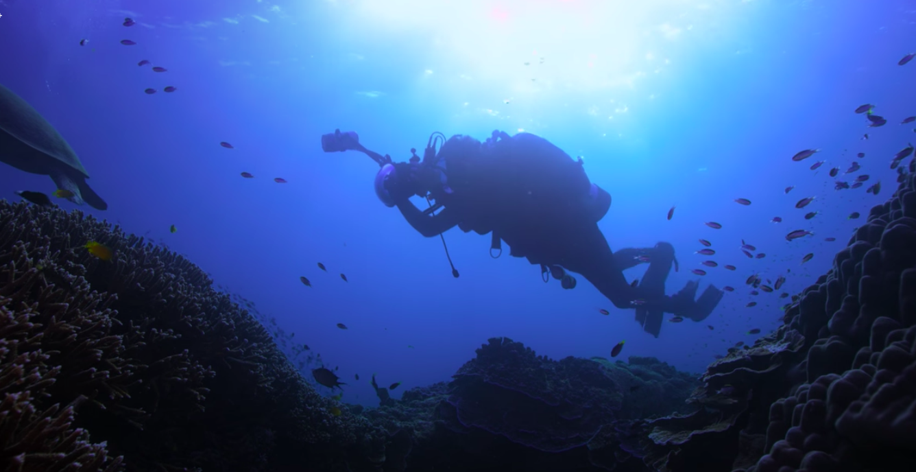 Documentaire Netflix Chasing Coral - Ô Magazine