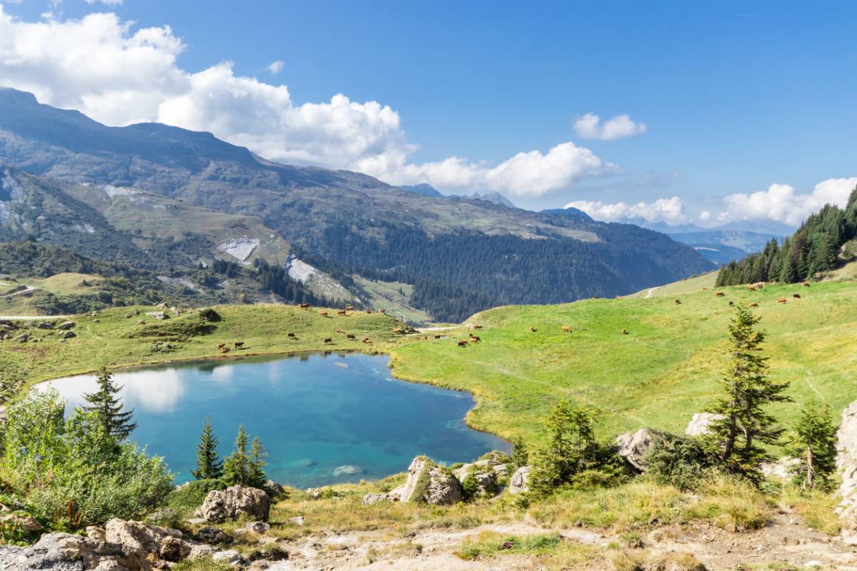 Partir camper en Savoie en été : des vacances réussies