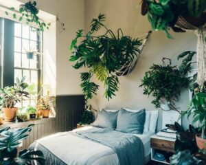 Les plus belles plantes d'intérieur pour une chambre cosy