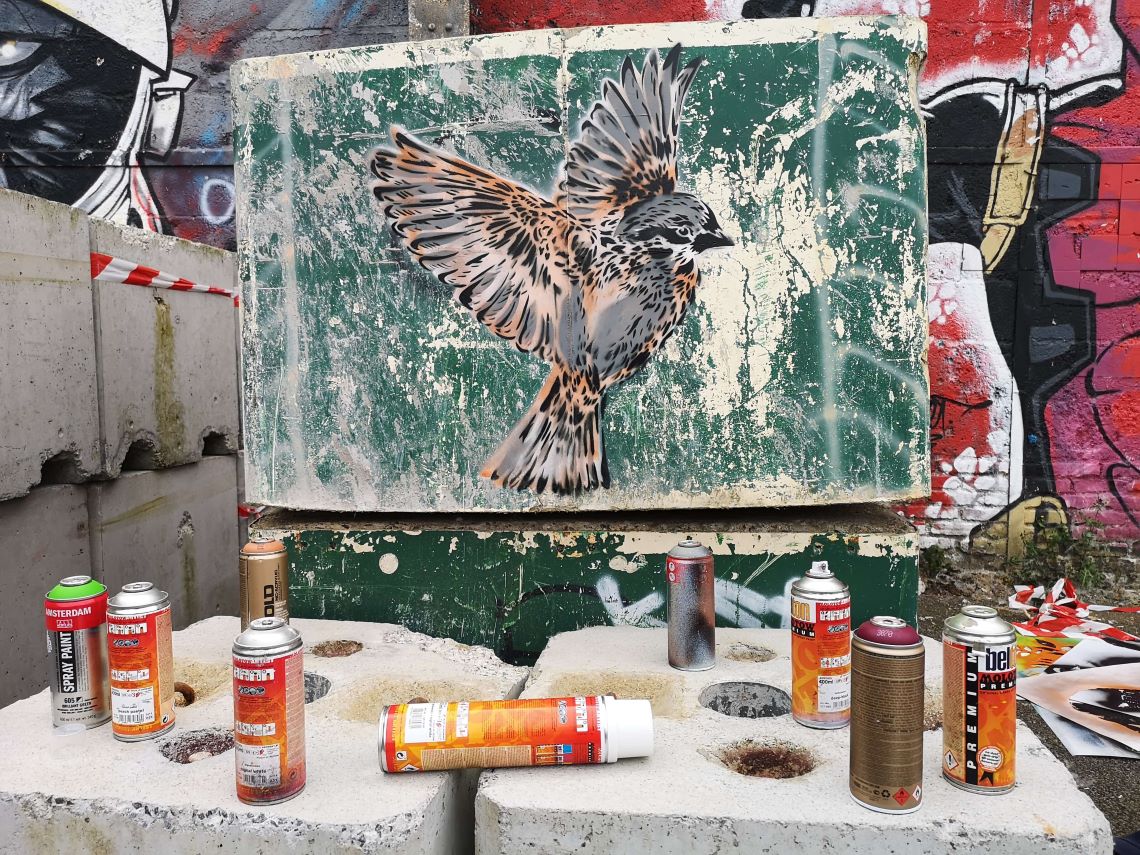 Femmes et street art en France : le parcours de Nice Art