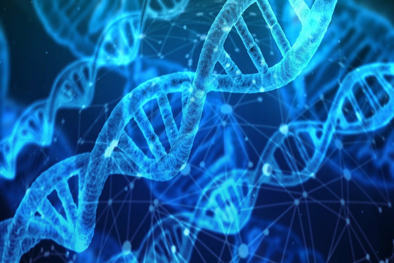 CRISPR, cinq choses à connaître sur cette technique de modification du génome