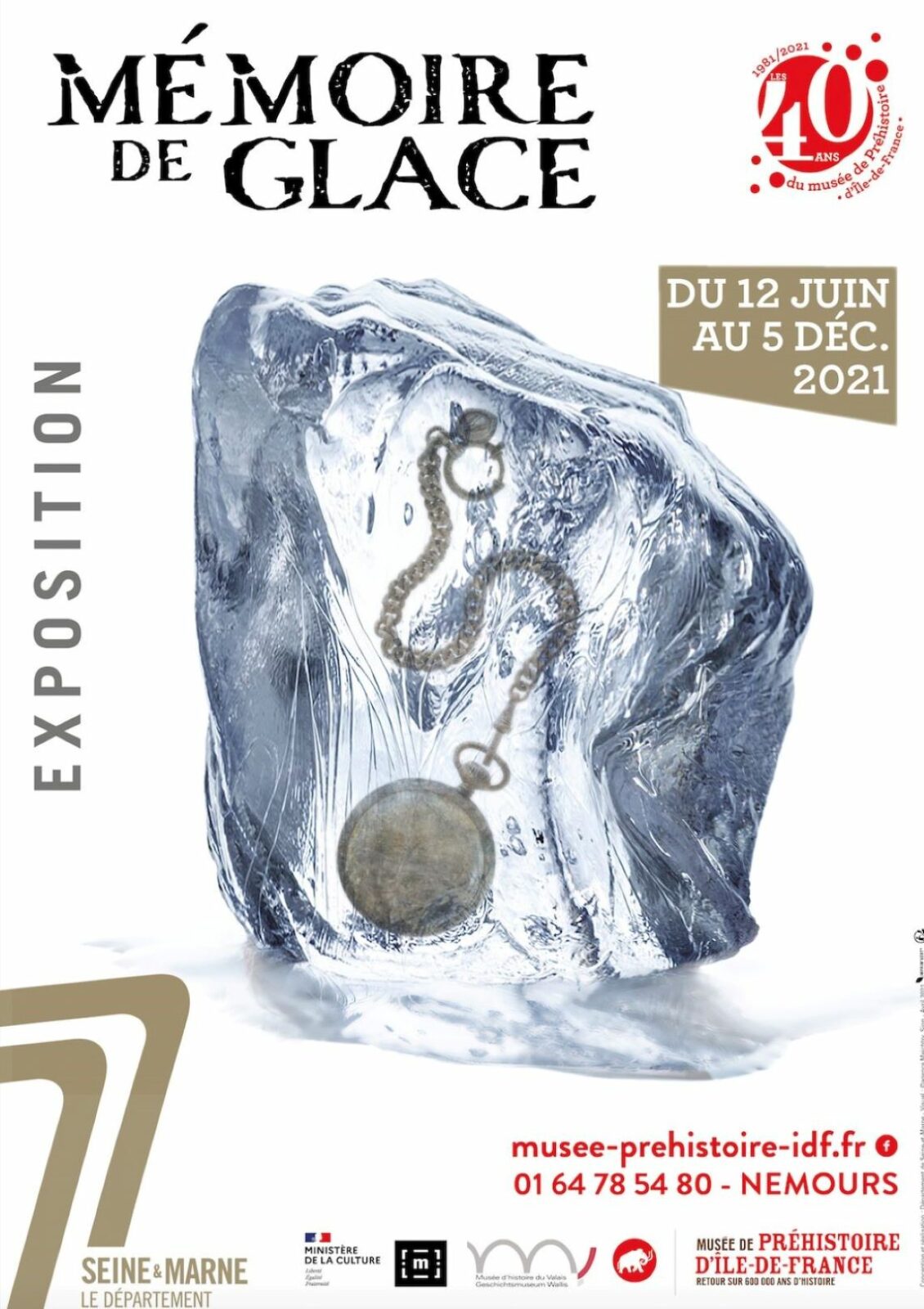 « Mémoire de glace » : archéologie glaciaire au musée de la préhistoire de Nemours