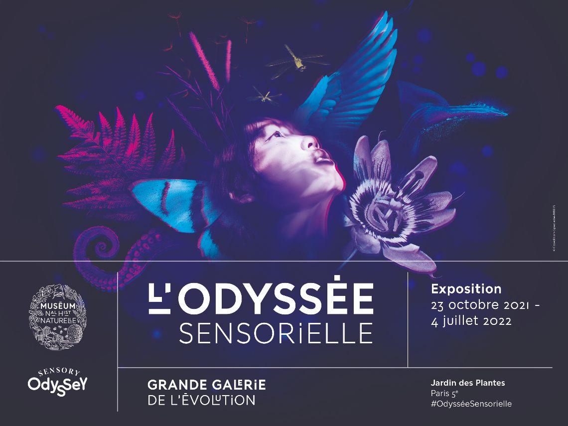 Affiche de L'Odyssée sensorielle (c) Sensory Odyssey Studio/MNHN