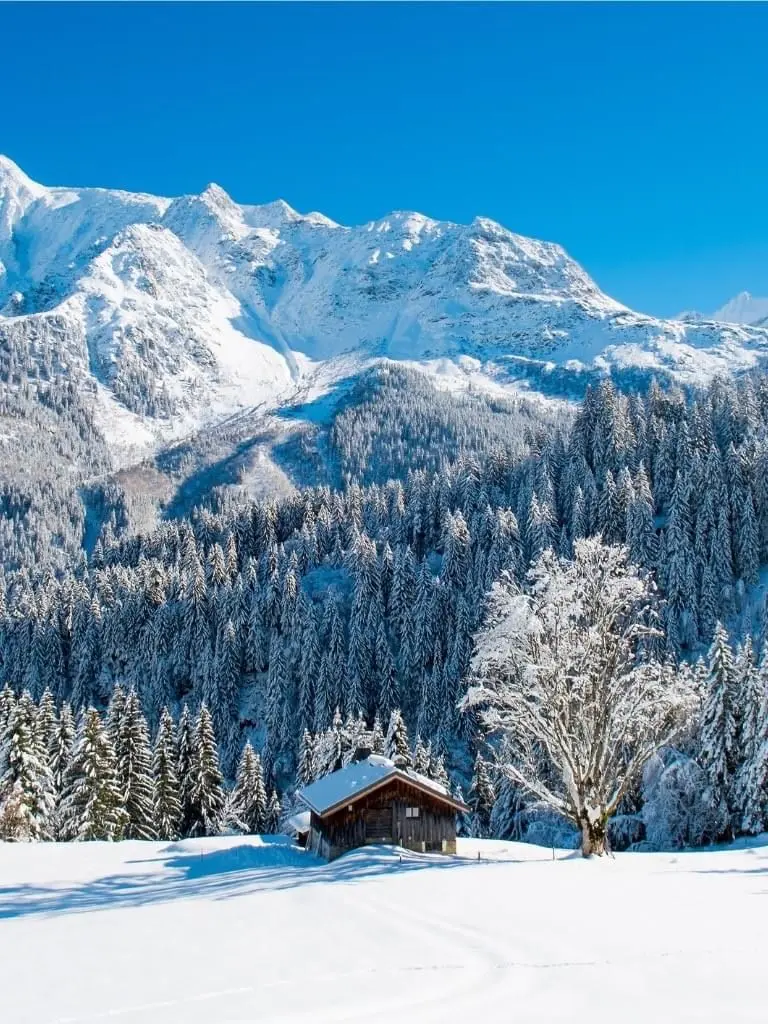 Chalet en bois isolé montagne Mercantour neige forêt
