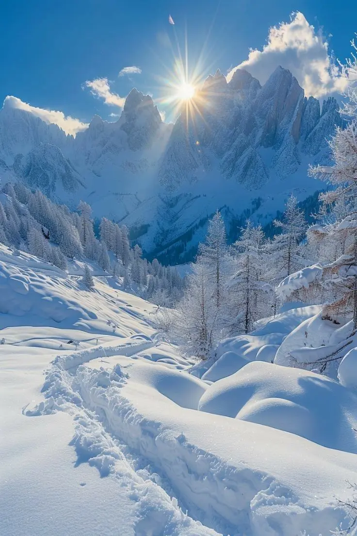 Paysage d'hiver spectaculaire Écrins soleil montagne neige sentier
