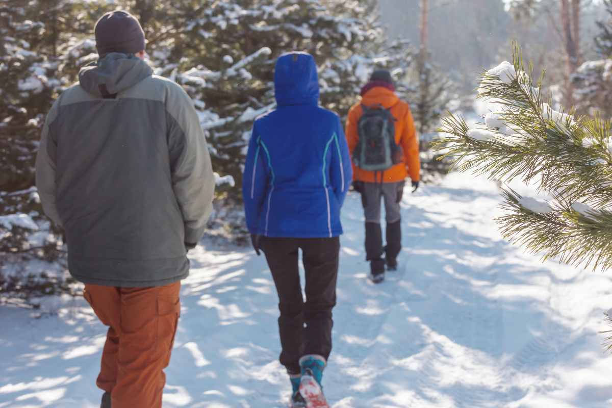 groupe hommes femme randonnée en hiver dans les alpes