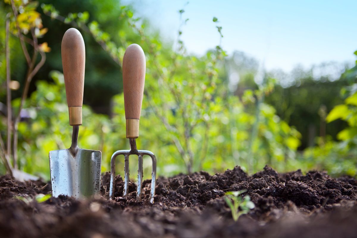 Préparer le sol de votre jardin