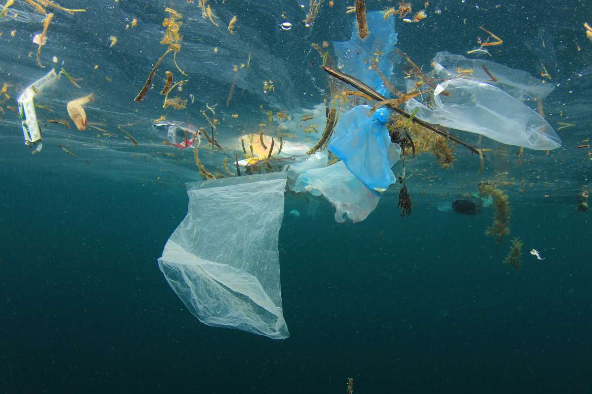 pollution plastique dans les océans