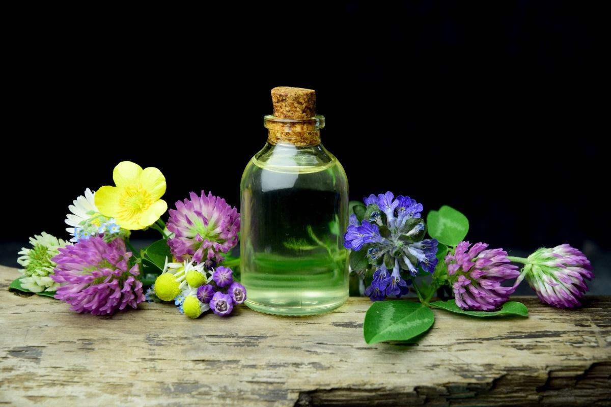 Frisottis : astuces et soins pour une chevelure maîtrisée 2 soins bio anti-frisottis omagazine.fr