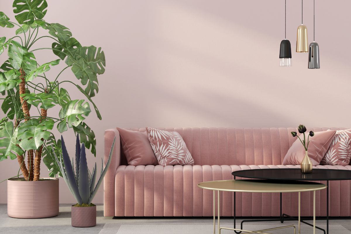 Style canapé décoration moderne confort