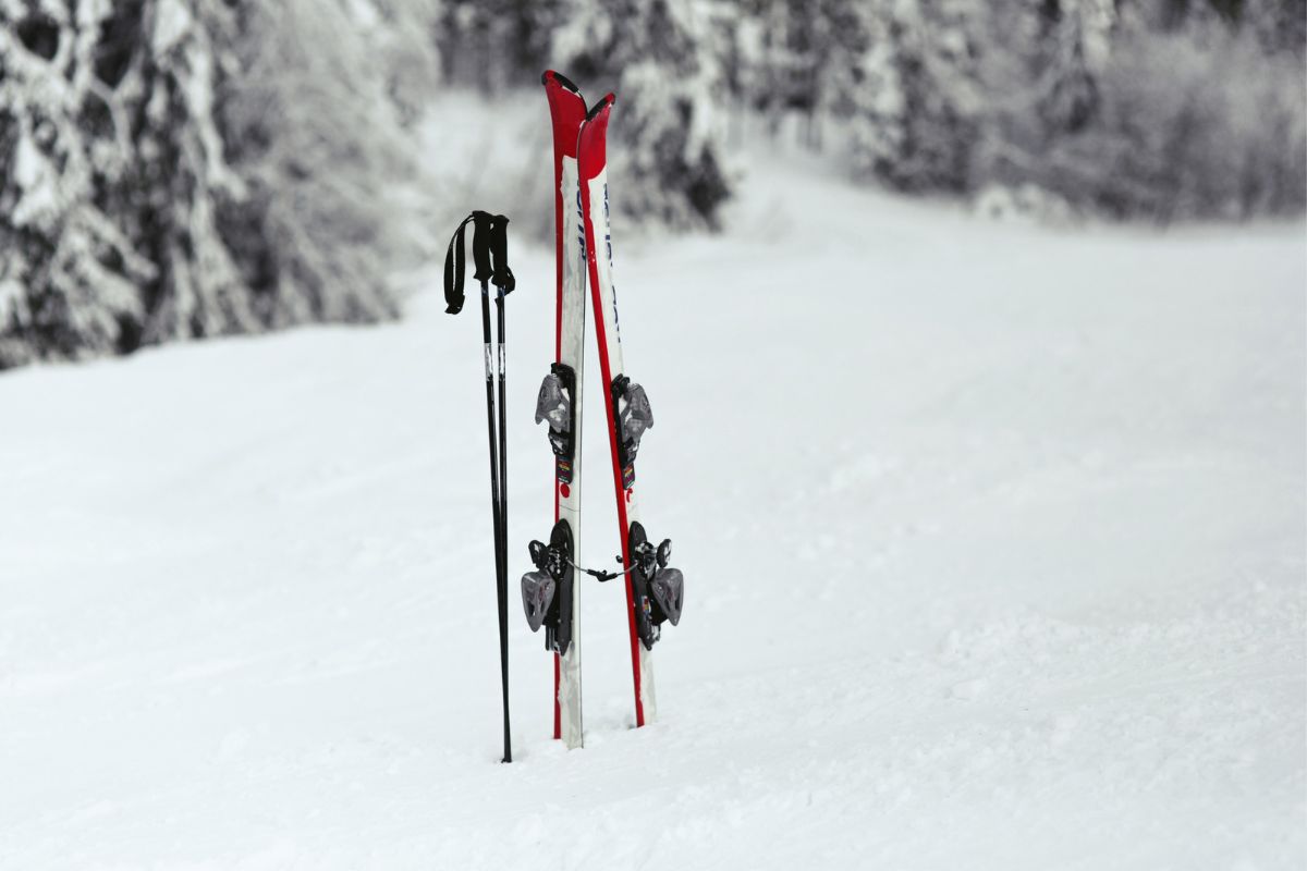 Vacances d'hiver ski famille potes