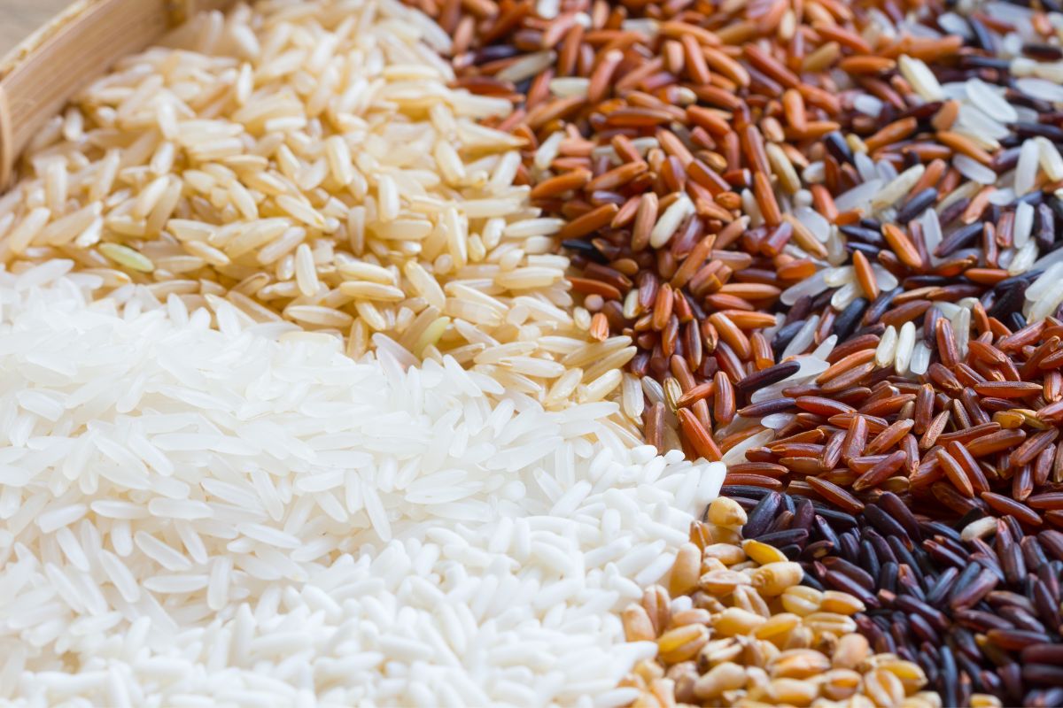 Quantité de riz par personne variétés de riz