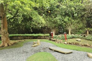 jardin zen plantes vertes