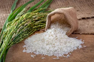 quantité de riz pour une personne alimentation