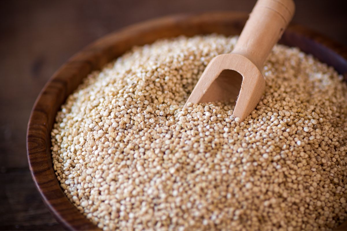 gluten dans le quinoa nutrition alimentation