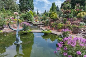 bassin d'ornement jardinage jardin