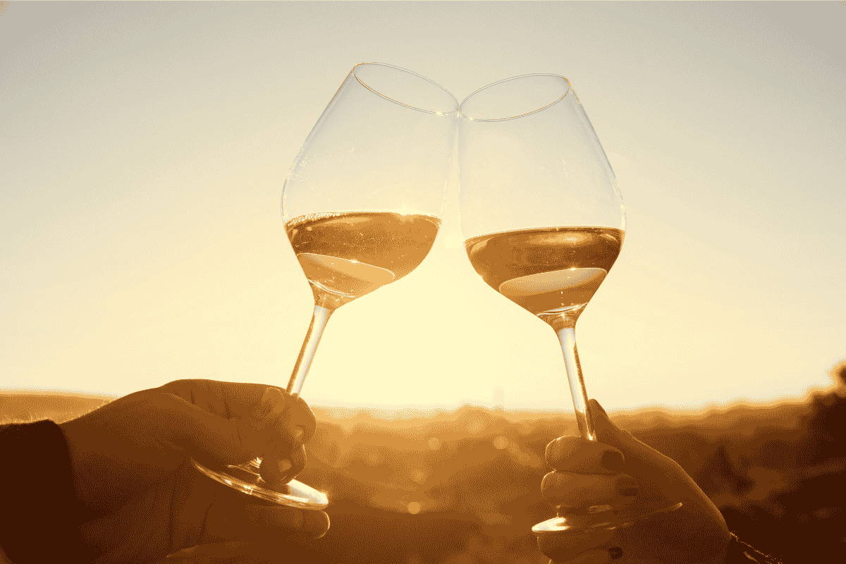 Vins de Provence et convivialité lors d'un moment passé à déguster du vin.