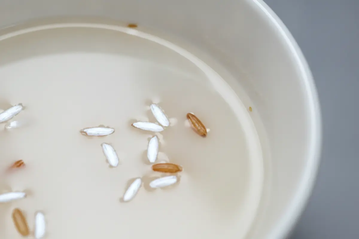 Sublimer la densité de vos cheveux après quarante ans 2 Gros plan d’un bol en céramique contenant de l’eau de riz fermentée et des grains de riz, lumière froide de studio.