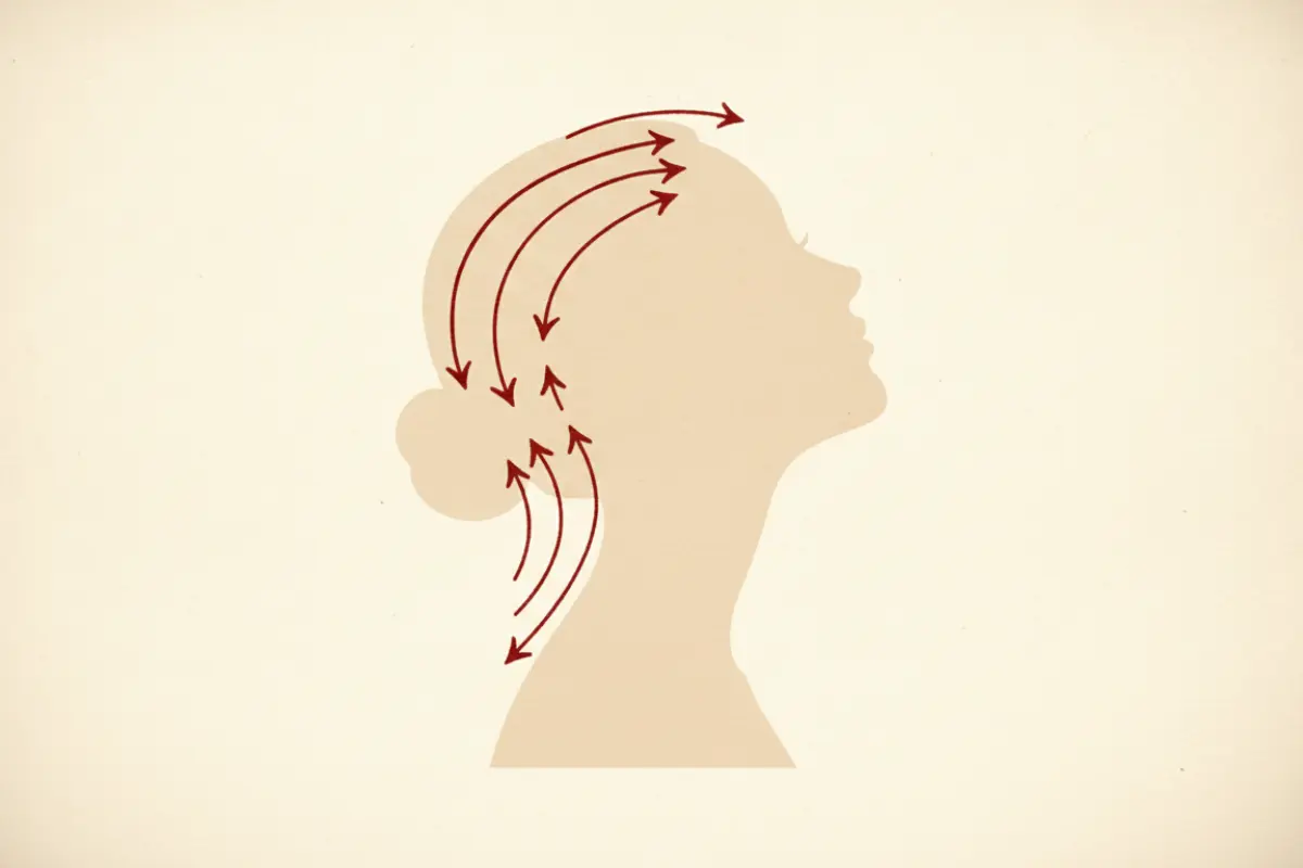 Illustration schématique d'un profil de femme avec des flèches rouges indiquant la circulation sanguine dans le cuir chevelu.