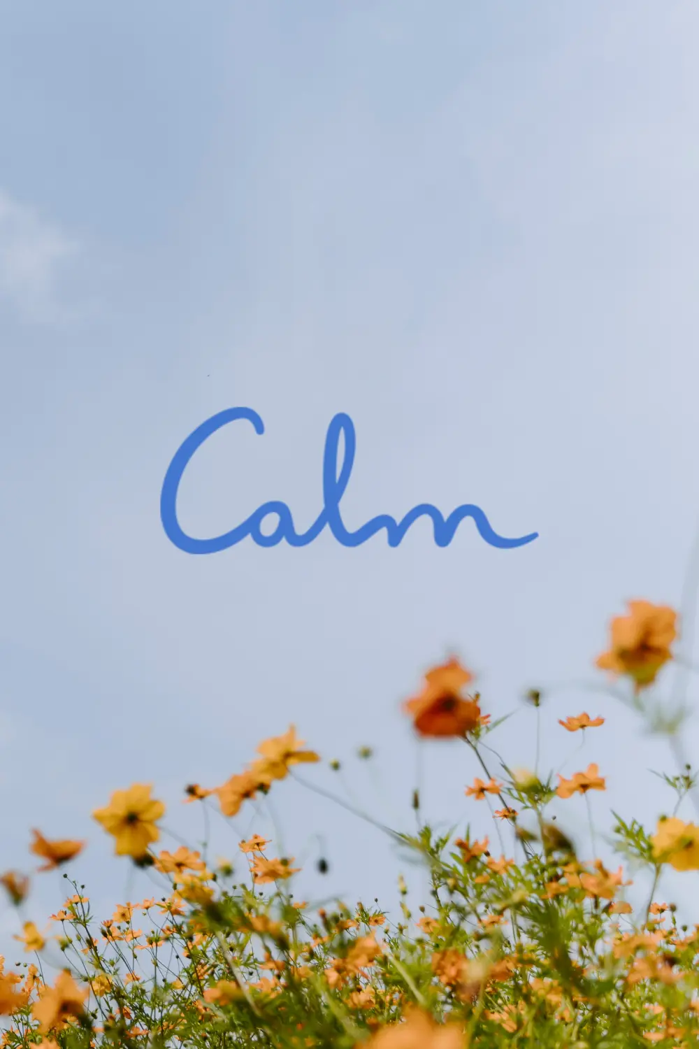 Se sentir invisible : comment reprendre confiance quand la société vous efface 3 Calm l'application de méditation et relaxation avec paysage paisible et interface minimaliste