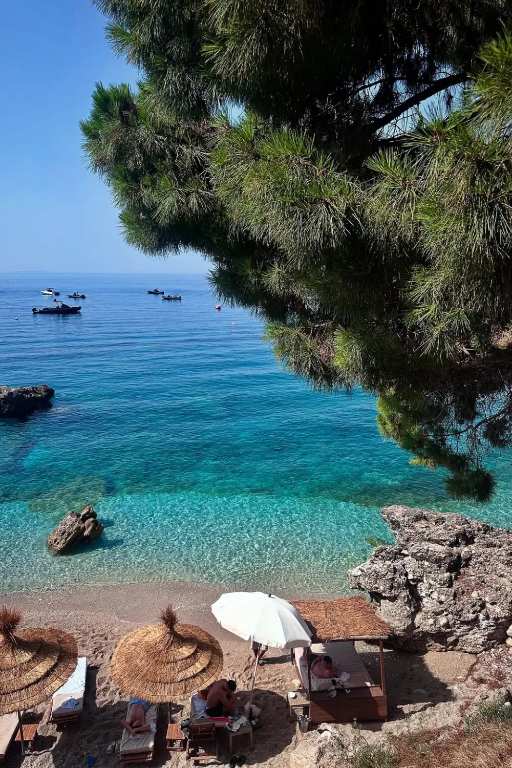 Vue plongeante sur la plage de Dhërmi avec parasols en paille et mer turquoise à travers les pins.