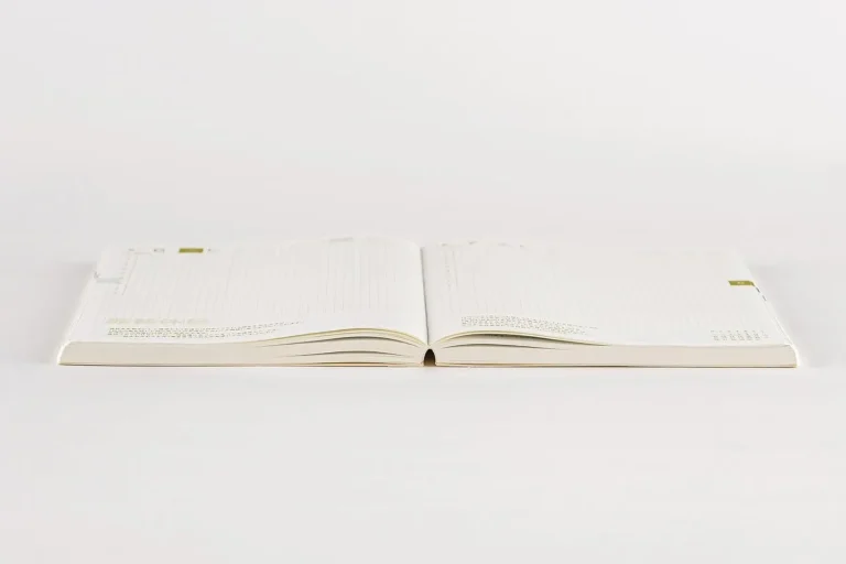 Carnet Hobonichi Techo Cousin ouvert à plat montrant la grille de lignes fines et le papier Tomoe River.