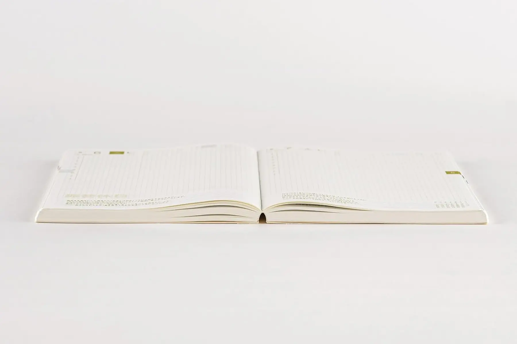 Carnet Hobonichi Techo Cousin ouvert à plat montrant la grille de lignes fines et le papier Tomoe River.